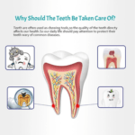 VITAMIN B12 Infused Whitening Toothpaste - Image 3